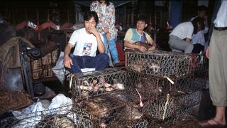 descoperire piața wuhan 2021