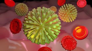 noua tulpină de coronavirus la școala 28