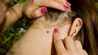 Ce trebuie să faci imediat dacă ai fost mușcat de o căpușă