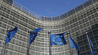 UE vrea ca euro să devină monedă de referinţă pentru tranzacţiile internaţionale cu hidrogen