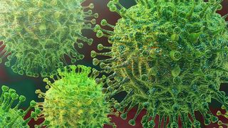 cazuri noi covid 19 franța