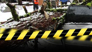 VIDEO| Femeie ucisă de un copac doborât la pământ