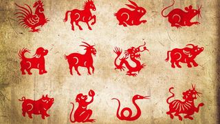 VIDEO - Anul Bivolului de Metal va fi anul schimbărilor, spun specialiștii