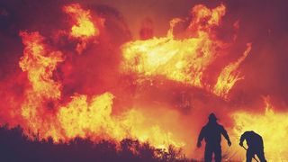 incendiu la timișoara