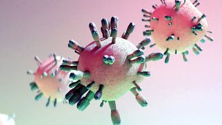 focar de coronavirus școală argeș