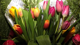 Mesaje de 8 martie. Urări și SMS-uri pentru mame, iubite și fiice. La mulți ani!