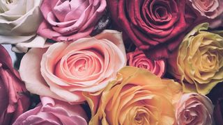 mesaje de 8 martie 2021