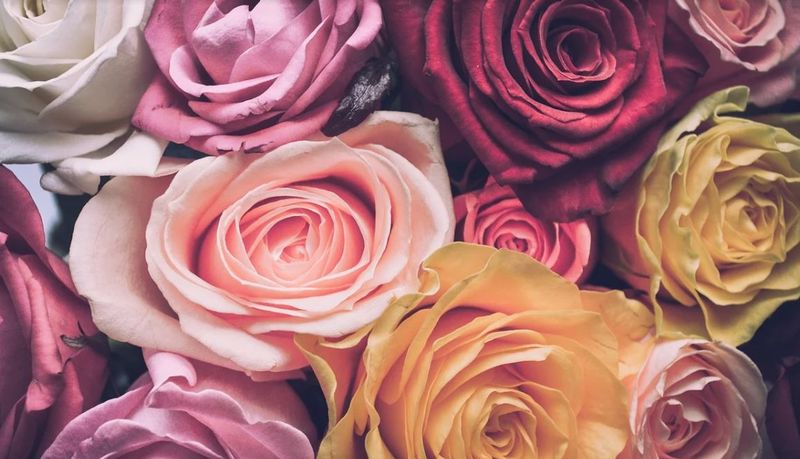 mesaje de 8 martie 2021