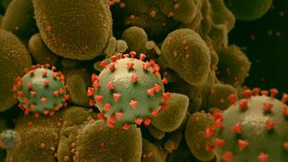 Cât de letală este noua tulpină sud-africană a coronavirusului. OMS a făcut anunțul mult așteptat