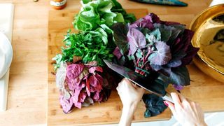 Loboda. Ce sunt, de fapt, frunzele de lobodă și ce conțin