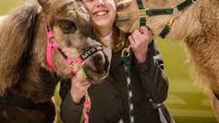 VIDEO - Bolnavii pot face online terapie cu tot felul de animale