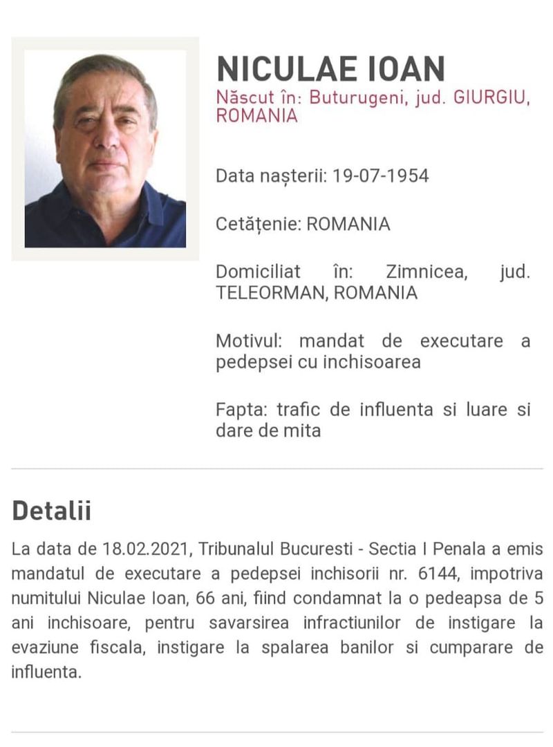 ion niculae a ajuns în țară condamnare