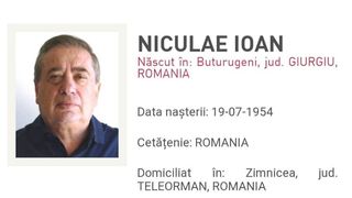 ion niculae a ajuns &icirc;n țară condamnare