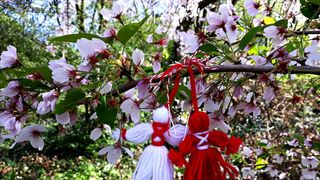 mesaje sms-uri si urari de 1 martie 2021