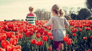 c&acirc;nd vine primăvara meteo rom&acirc;nia