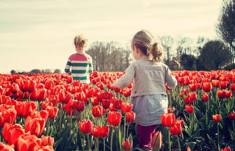când vine primăvara meteo românia