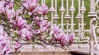 La mulţi ani de 1 Martie 2021