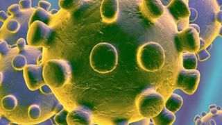 suedia val trei coronavirus