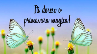 Felicitari de 1 Martie 2021: Cele mai frumoase imagini cu text