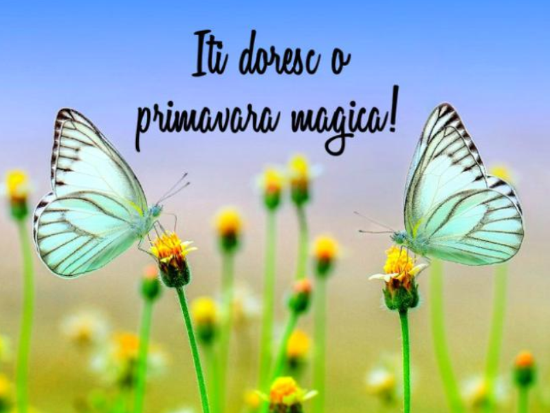 Felicitari de 1 Martie 2021: Cele mai frumoase imagini cu text