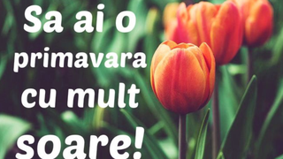 Felicitari de 1 Martie 2021: Cele mai frumoase imagini cu text