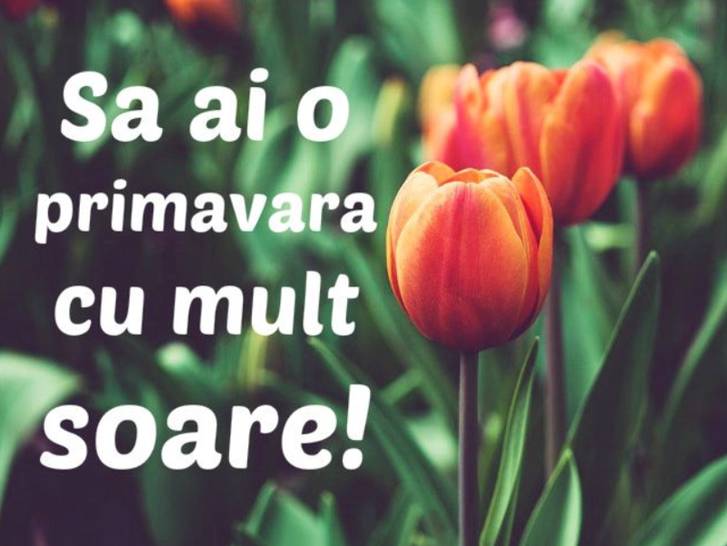 Felicitari de 1 Martie 2021: Cele mai frumoase imagini cu text