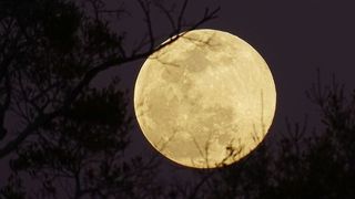 Ce schimbări majore aduce Luna Plină din 27 februarie, denumită și "Luna Zăpezii"