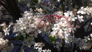 Mesaje de 1 Martie pentru mamă și iubită. Urările originale care le va impresiona