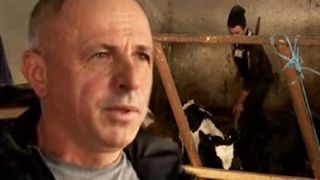 VIDEO - Fermierii români, fără muncitori, în ciuda numărului de șomeri