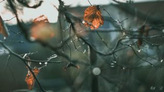 Prognoza meteo ANM pentru vineri, 5 martie. Vremea schimbă foaia din weekend