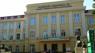 VIDEO - Consiliere psihologică gratuită pentru studenții cu probleme