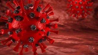 Nelu Tătaru, anunț despre transparentizarea datelor referitoare la pandemia de COVID-19