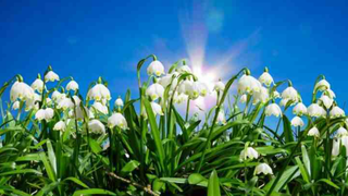 Prognoza meteo, azi 9 martie 2021. Cum va fi vremea &icirc;n țară