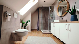 Ghid de amenajare: Baie mare vs baie mică