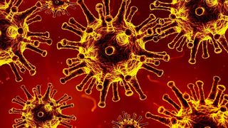 scenariu roșu la constanța