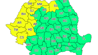 Cod galben de ninsori