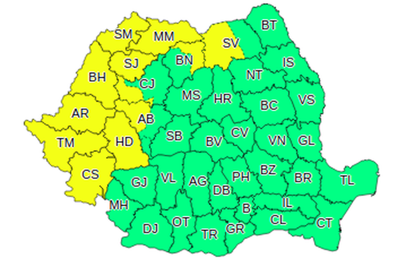 Cod galben de ninsori