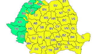 Cod galben de ninsori