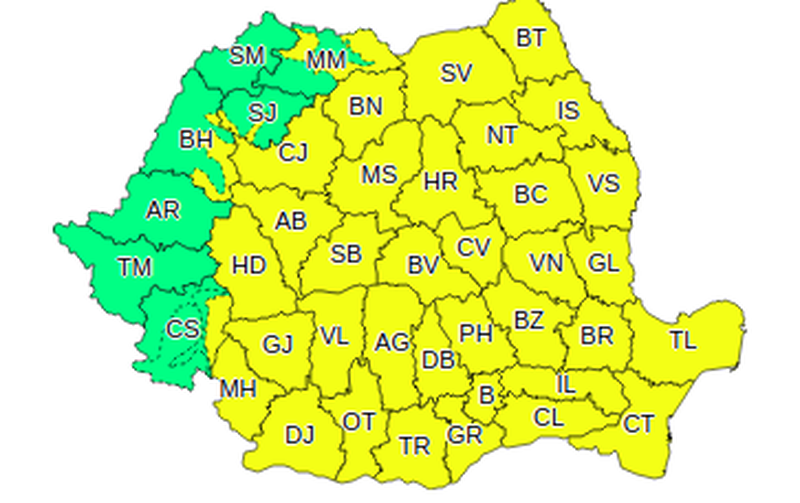 Cod galben de ninsori