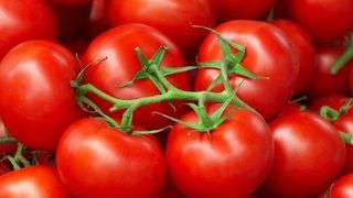 VIDEO | Roşiile rom&acirc;neşti au apărut deja &icirc;n pieţe. C&acirc;t costă un kilogram?