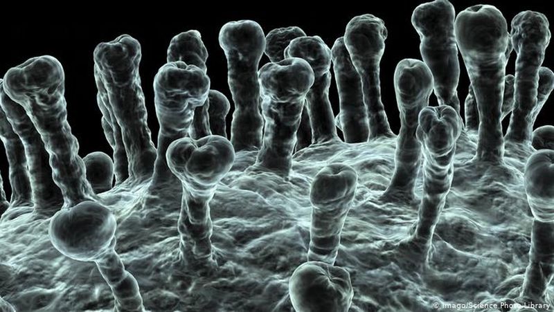 femeie moartă norvegia după ce s-a vaccinat