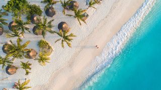 VIDEO -Vacanță ca-n Paradis în Zanzibar. Relaxare în mijlocul naturii