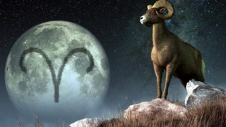 Zodia Berbec - caracteristici, personalitate, cariera si relatii