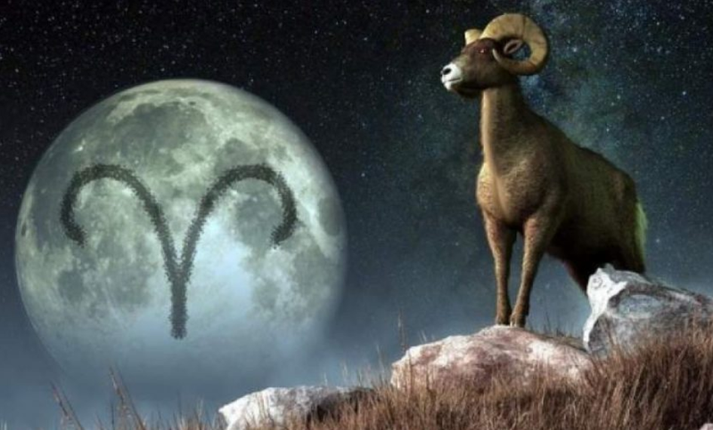 Zodia Berbec - caracteristici, personalitate, cariera si relatii