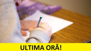 Tezele din semestrul al doilea se vor susepnda  Sorin Cîmpeanu