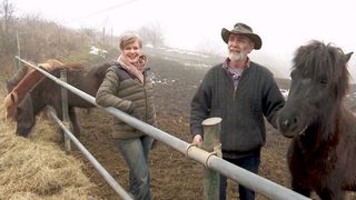 Duminica aceasta, de la ora 14:30, la ”Asta-i România!”: Au dat Olanda pe România