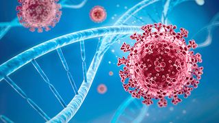 turcia cazuri coronavirus