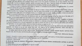 Subiecte Română simulare BAC 2021