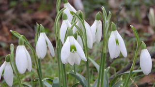 Prognoza meteo, azi 23 martie 2021. Vreme rece &icirc;n majoritatea zonelor din țară