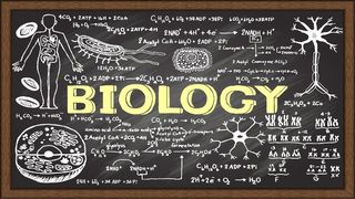 Subiecte simulare BAC 2021 Biologie şi Anatomie